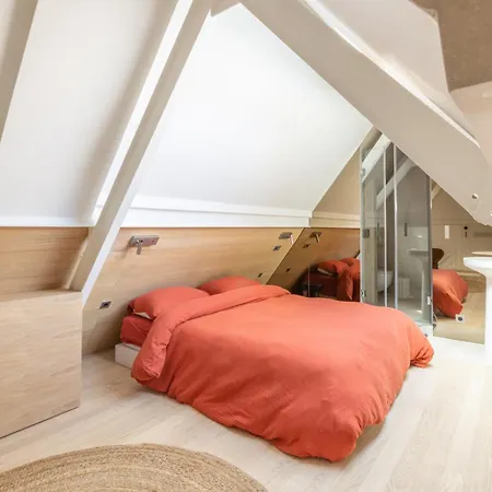 Luxueux Duplex En Plein Coeur De Dans Le 1er Arrondissement パリ